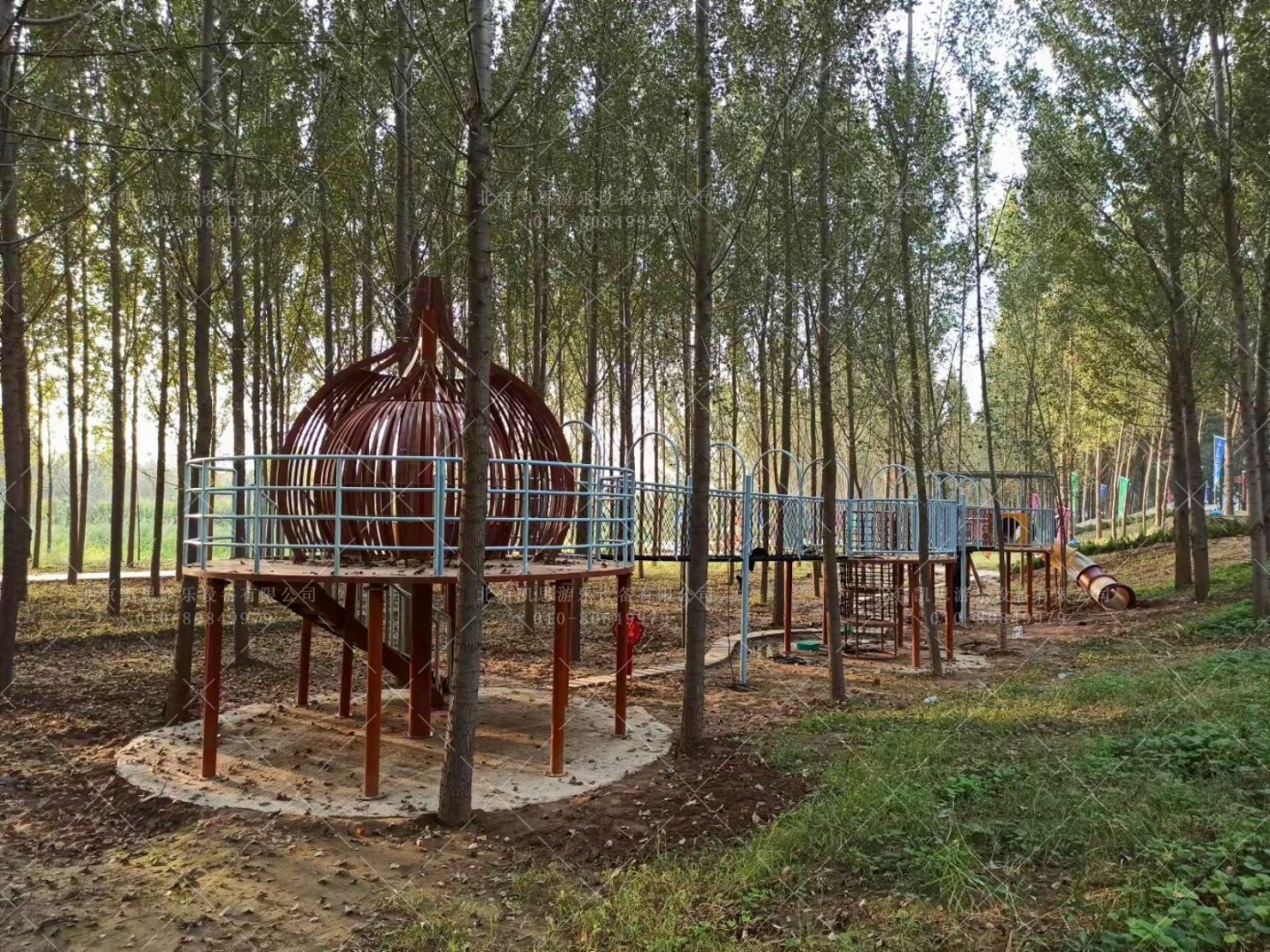 泛华集团项目“小勇士深林拓展之旅“