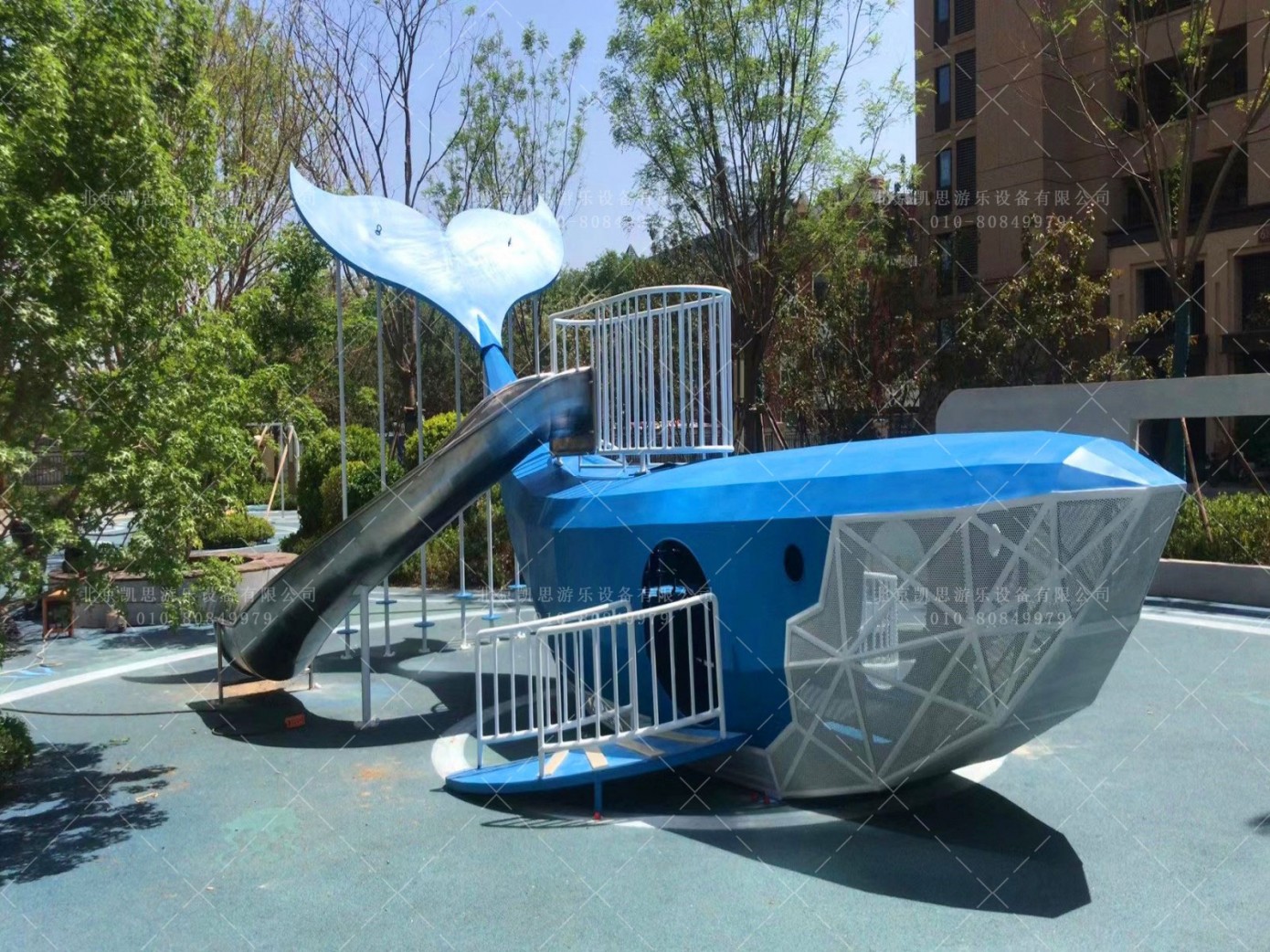 鲸鱼滑梯—孩子们的“鲲鹏之志”