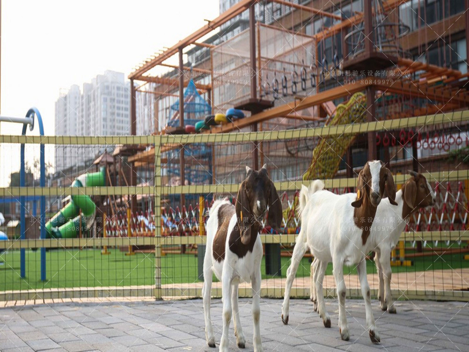 北京爱乐园-(1).jpg